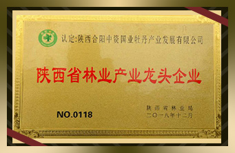 Leading enterprise of shaanxi forestry industry (plaque)