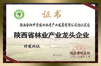Shaanxi forestry industry leading enterprise (certificate)